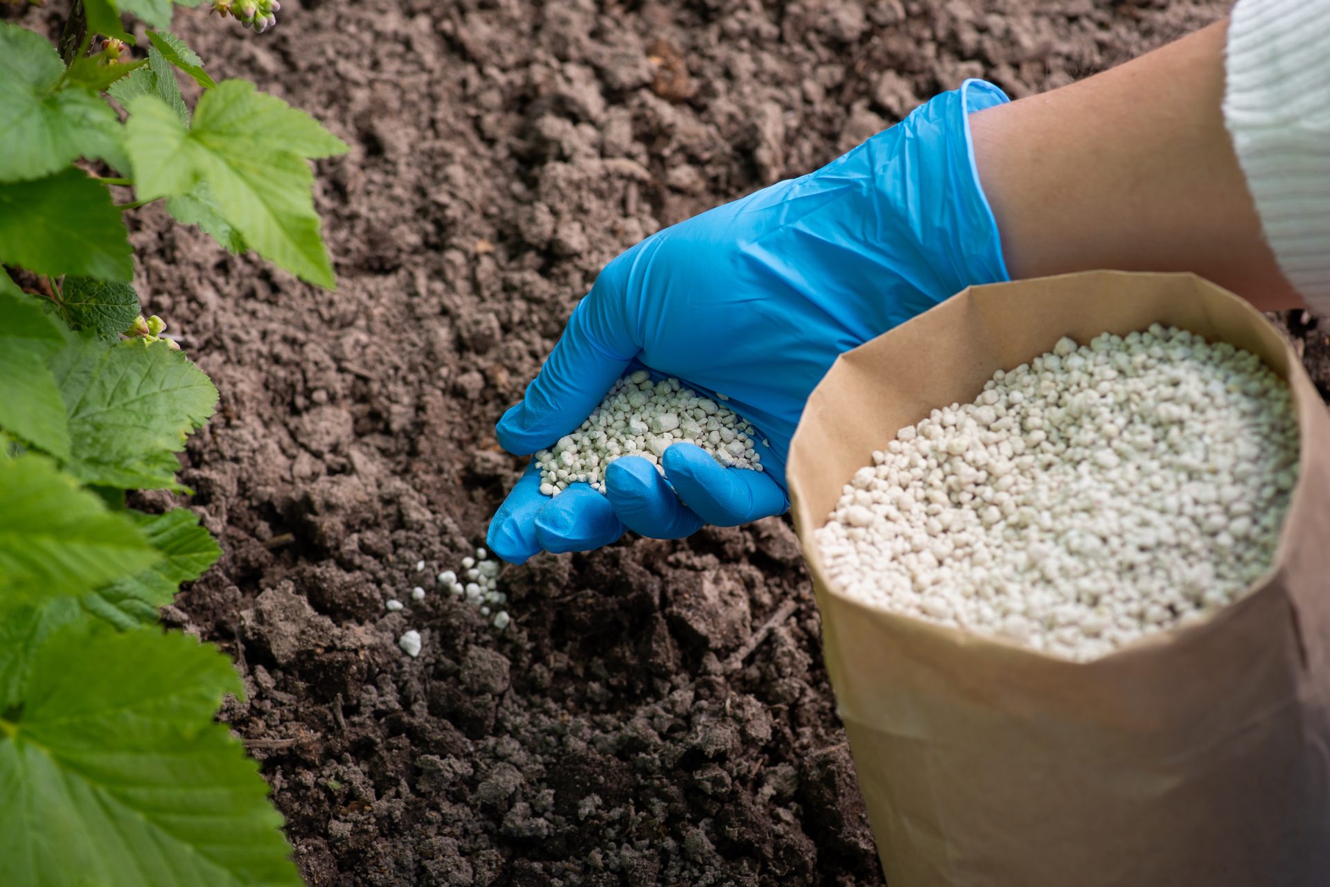 Premium Agricultural Fertilizers